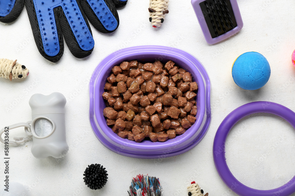 Composition with pet care accessories and wet food on light background