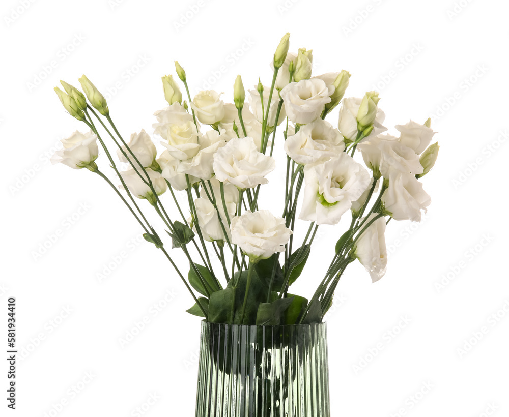 Vase with delicate eustoma flowers on white background, closeup