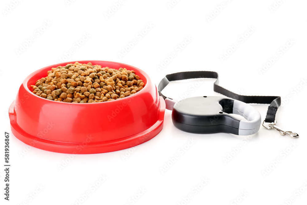 Bowl of dry pet food and leash on white background