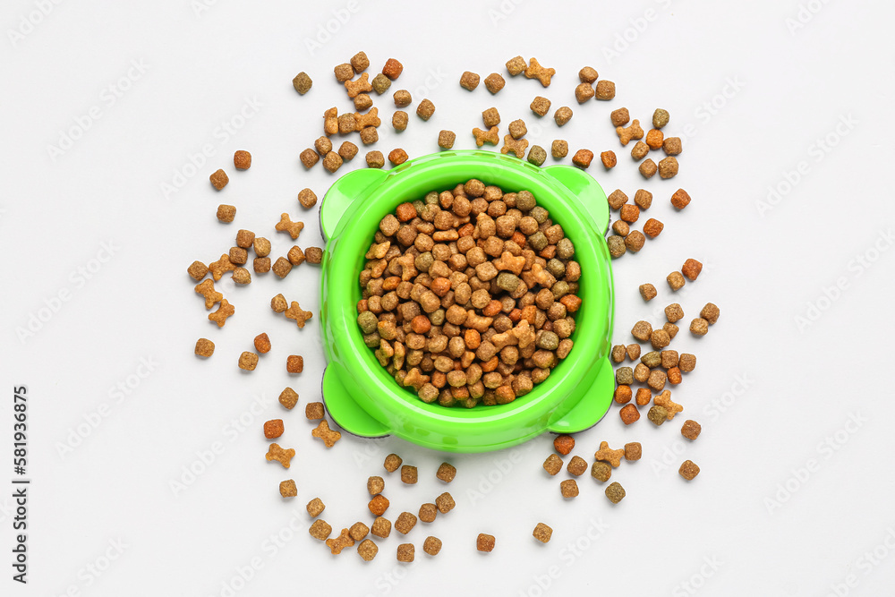 Bowl of dry pet food isolated on white background