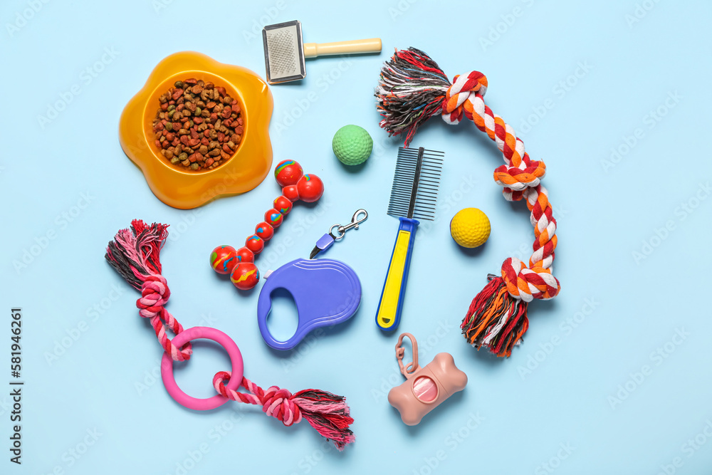 Composition with pet care accessories, toys and dry food on color background