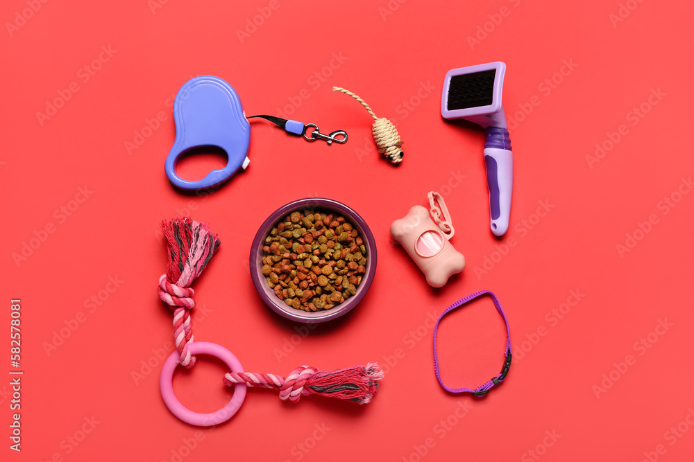 Set of pet care accessories and dry food on red background