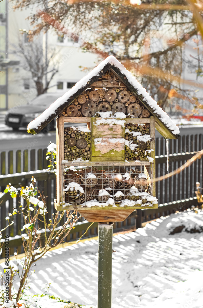 View of wooden bird house covered with snow on winter day, closeup