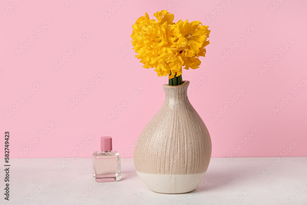 Vase with narcissus flowers and perfume on table near pink wall