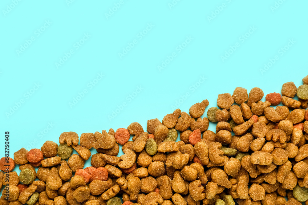 Heap of dry pet food on color background, closeup