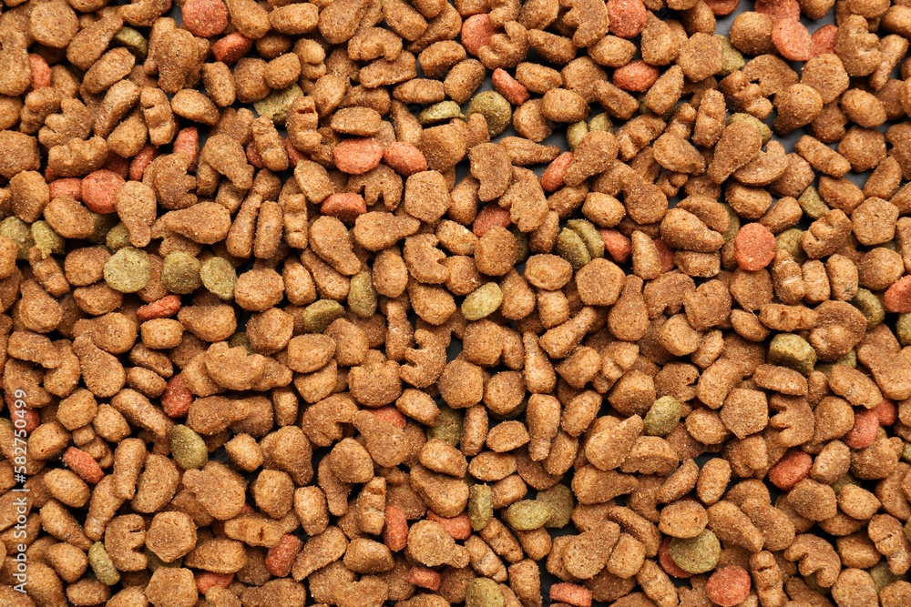 Dry pet food as background, closeup