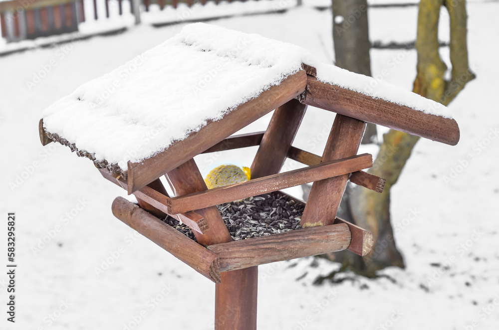 View of wooden bird house covered with snow on winter day, closeup