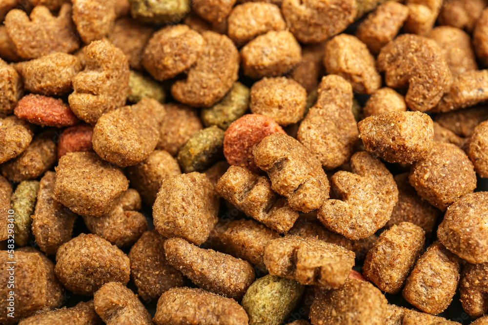 Dry pet food as background, closeup