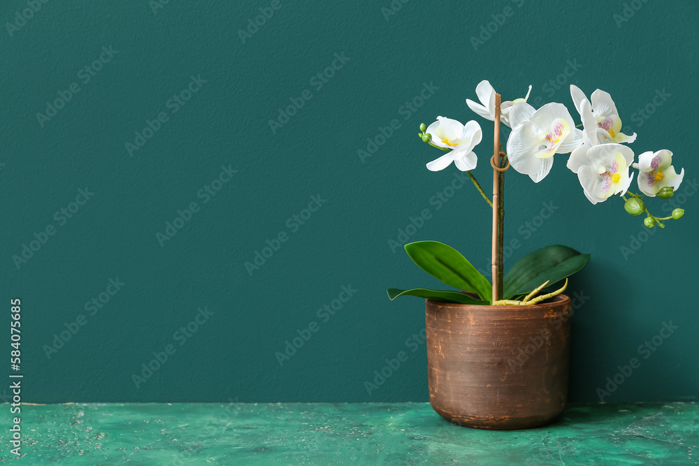 Artificial flower on table near green wall