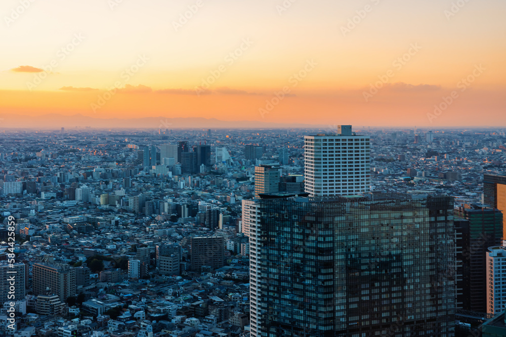 Skyscrapers towering over the cityscape of Nishi-Shinjuku, Tokyo, Japan at sunset