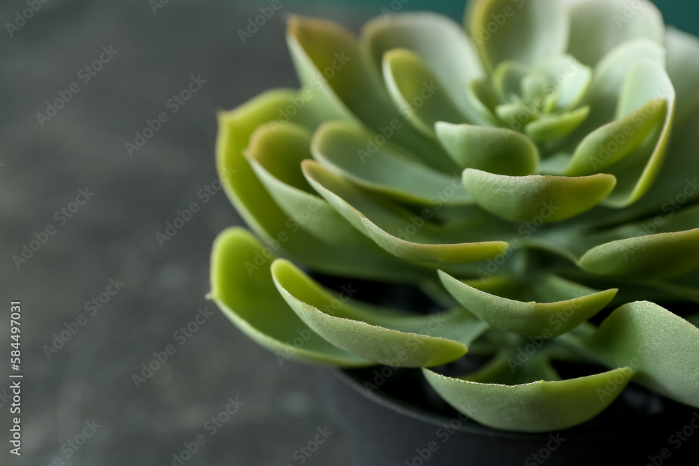 Artificial plant on dark table, closeup