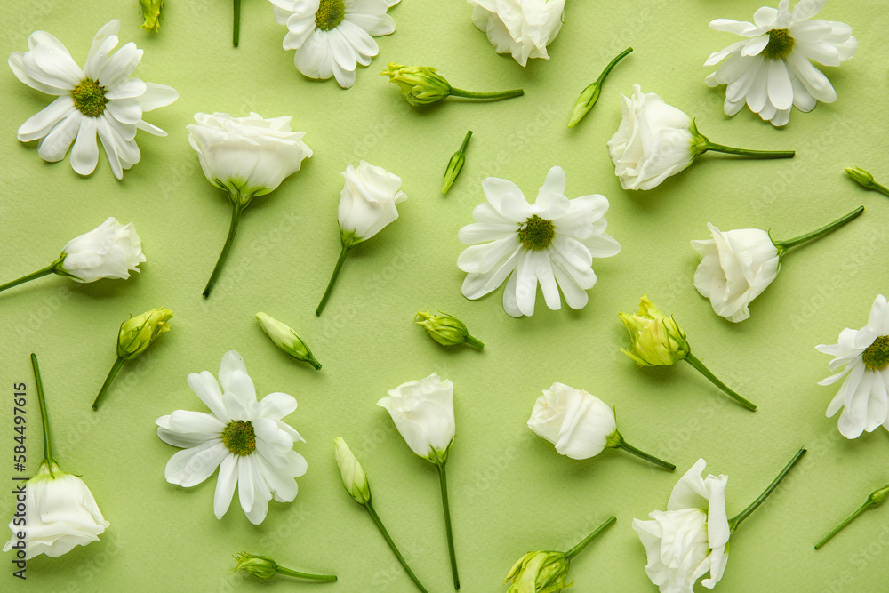 Composition with beautiful eustoma and chamomile flowers on green background