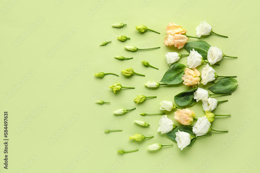 Composition with beautiful eustoma flowers on green background