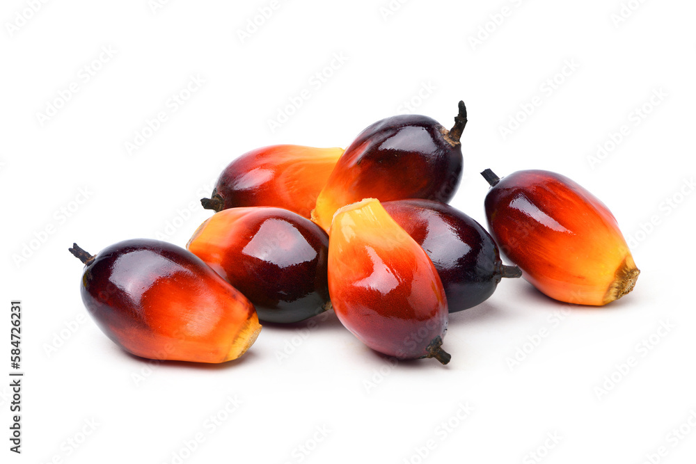 Palm oil nuts isolate on white background. Clipping path.