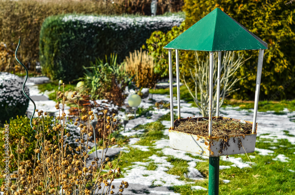 View of bird house on winter day, closeup