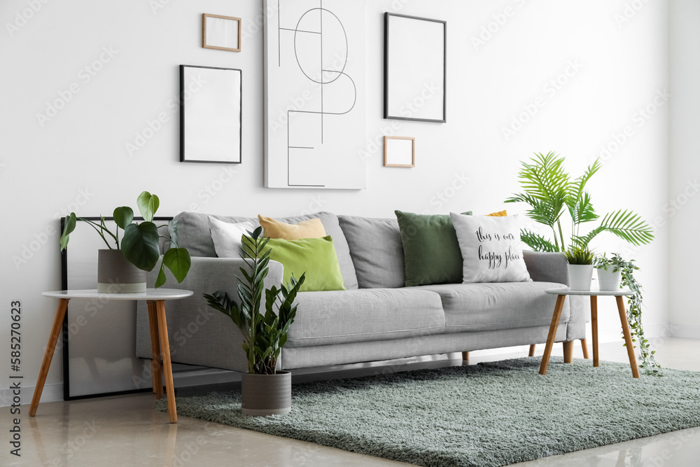 Interior of living room with cozy sofa, paintings and houseplants