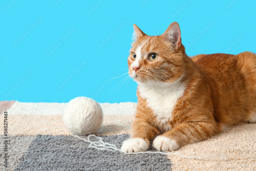 Funny red cat with ball of thread on blue background