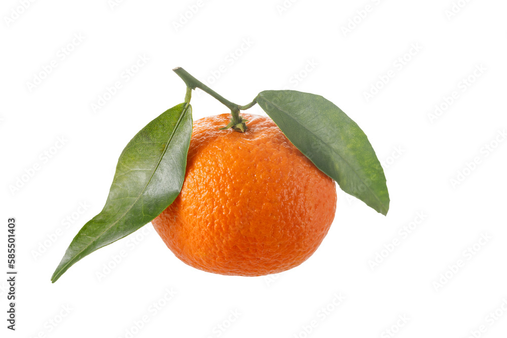 One juicy orange tangerine or mandarin with green leaves closeup isolated on white background.