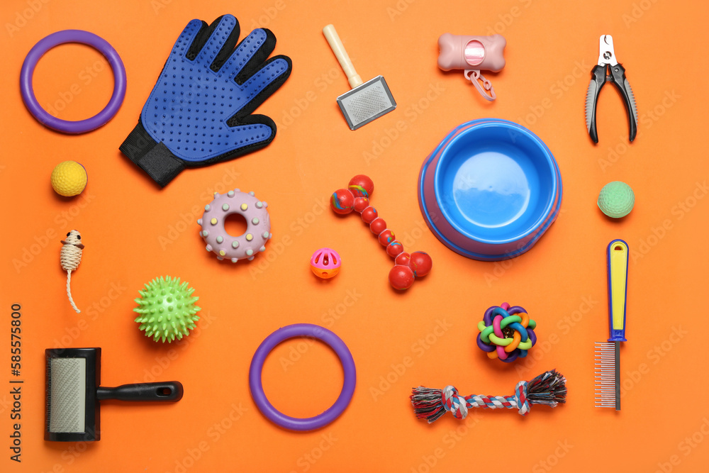 Set of pet toys and accessories on color background