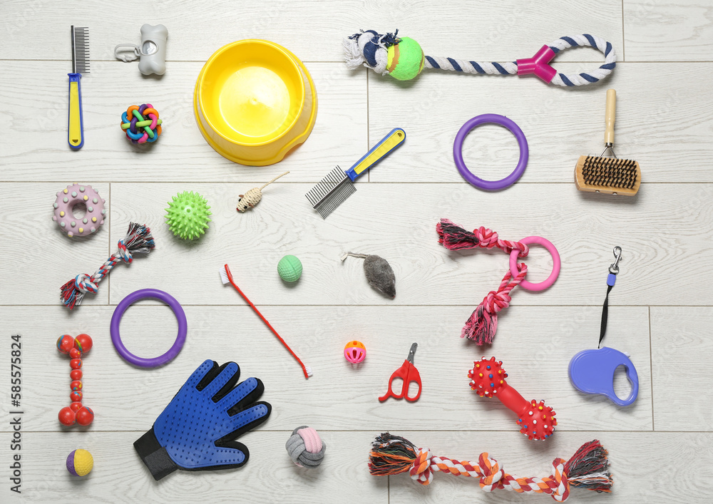 Set of pet toys and accessories on light wooden background