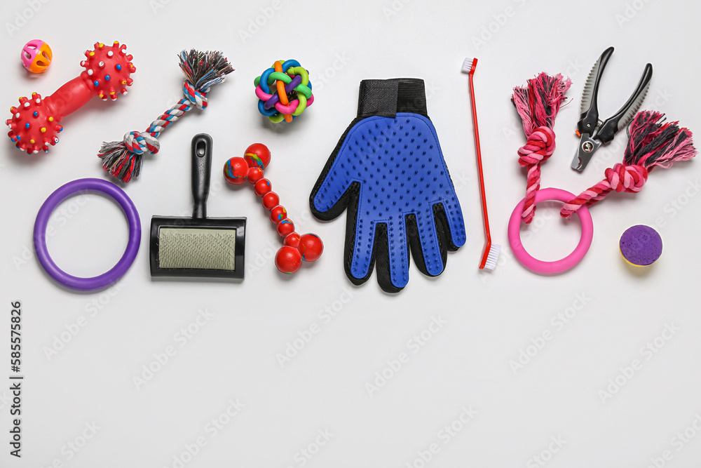 Set of different pet care accessories on light background