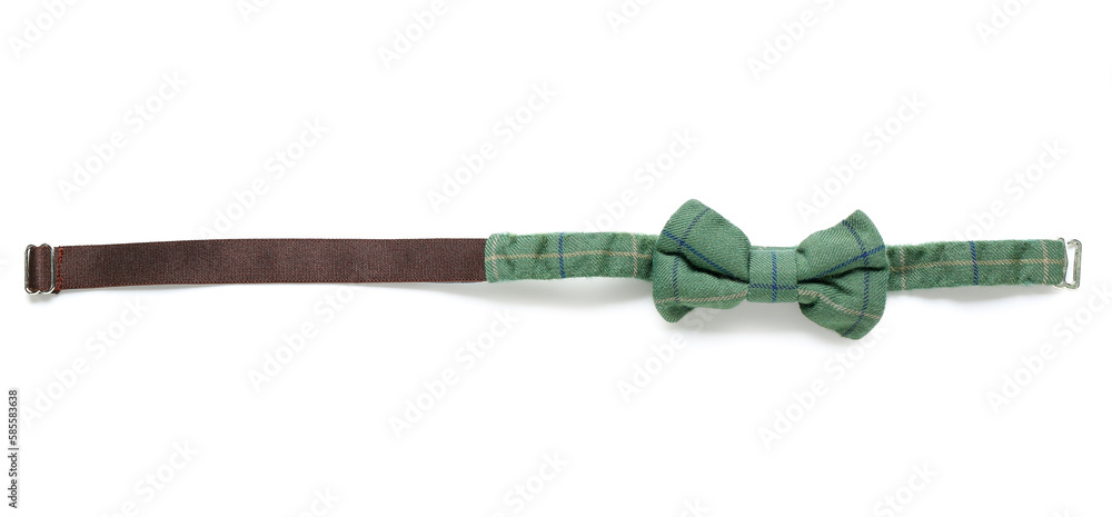 Green bow tie isolated on white background