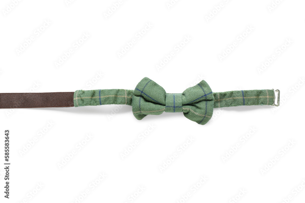 Green bow tie isolated on white background