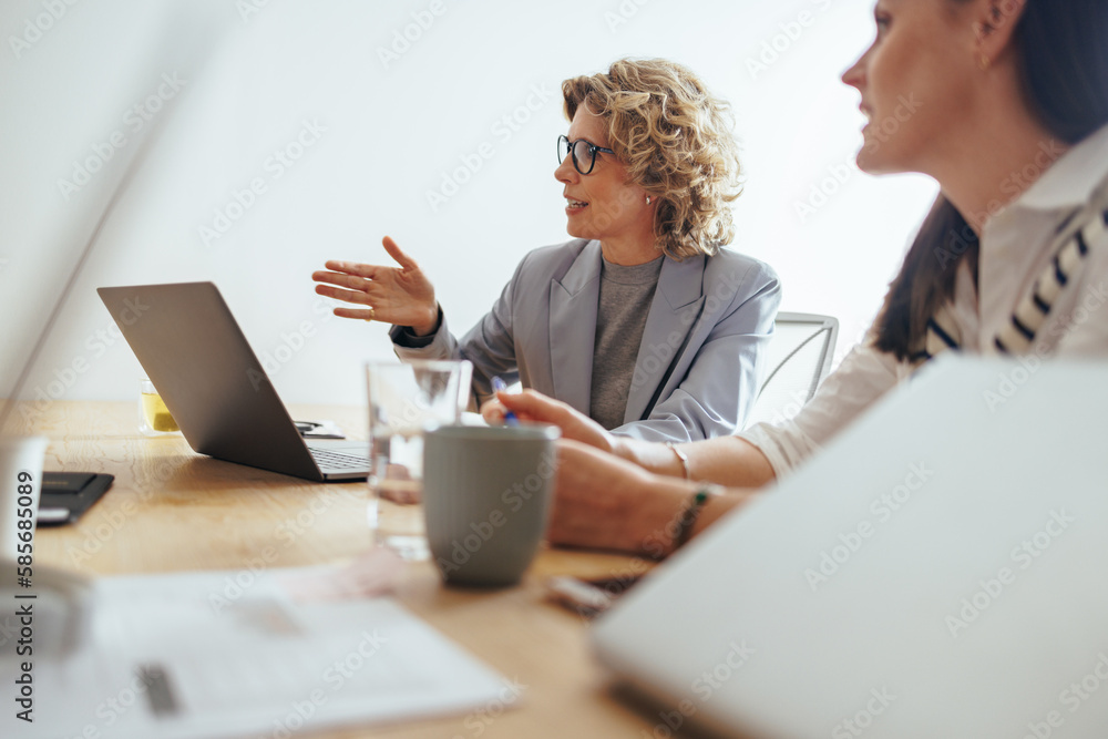 Mature business woman discussing a project with her team in an office