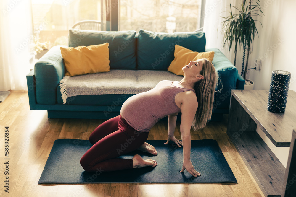 Pregnant Woman Relaxing With Yoga In Living Room