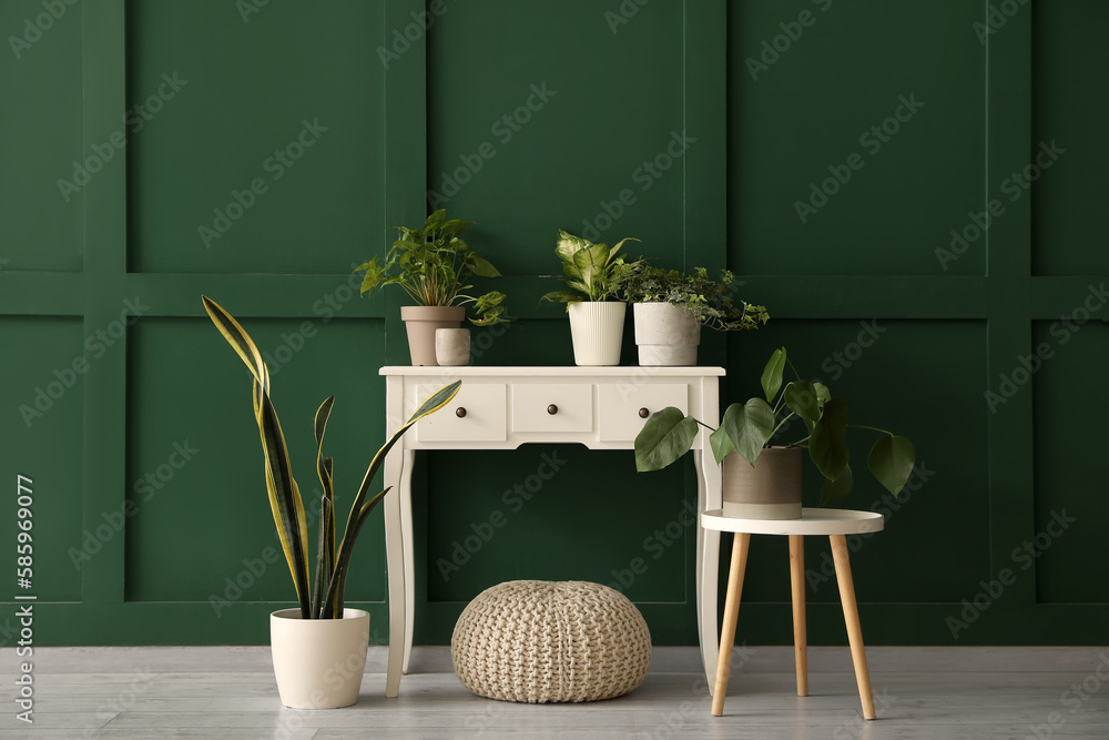 Tables with houseplants and pouf near green wall in room