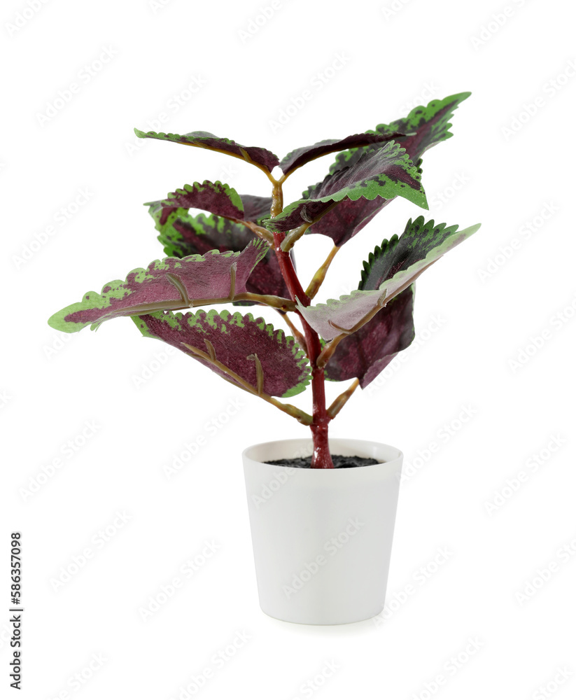 Artificial houseplant on white background