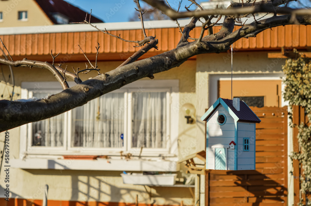 Wooden bird house hanging on tree branch in village