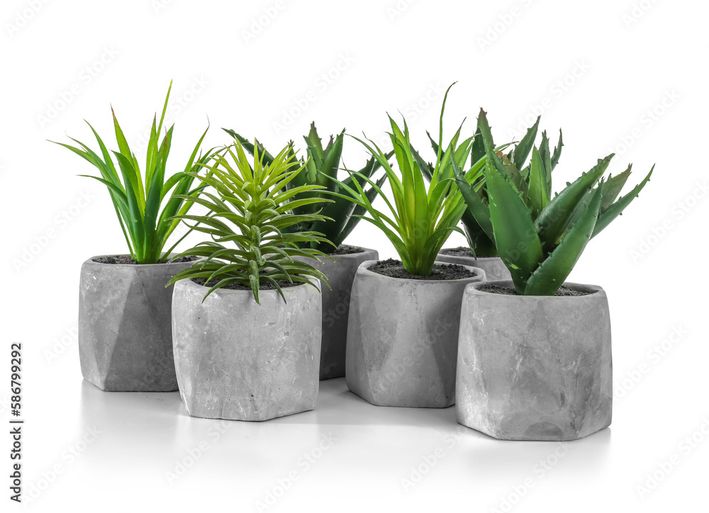 Artificial houseplants on white background