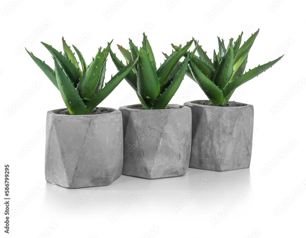 Artificial aloe on white background