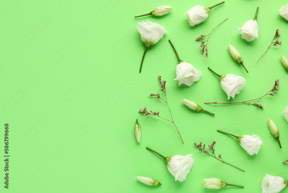 Composition with delicate eustoma flowers on green background