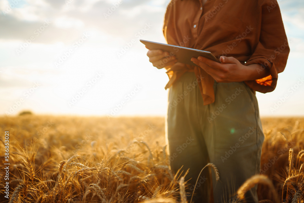 Tablet in the hands of a woman farmer. Smart farm. Idea of a rich harvest.