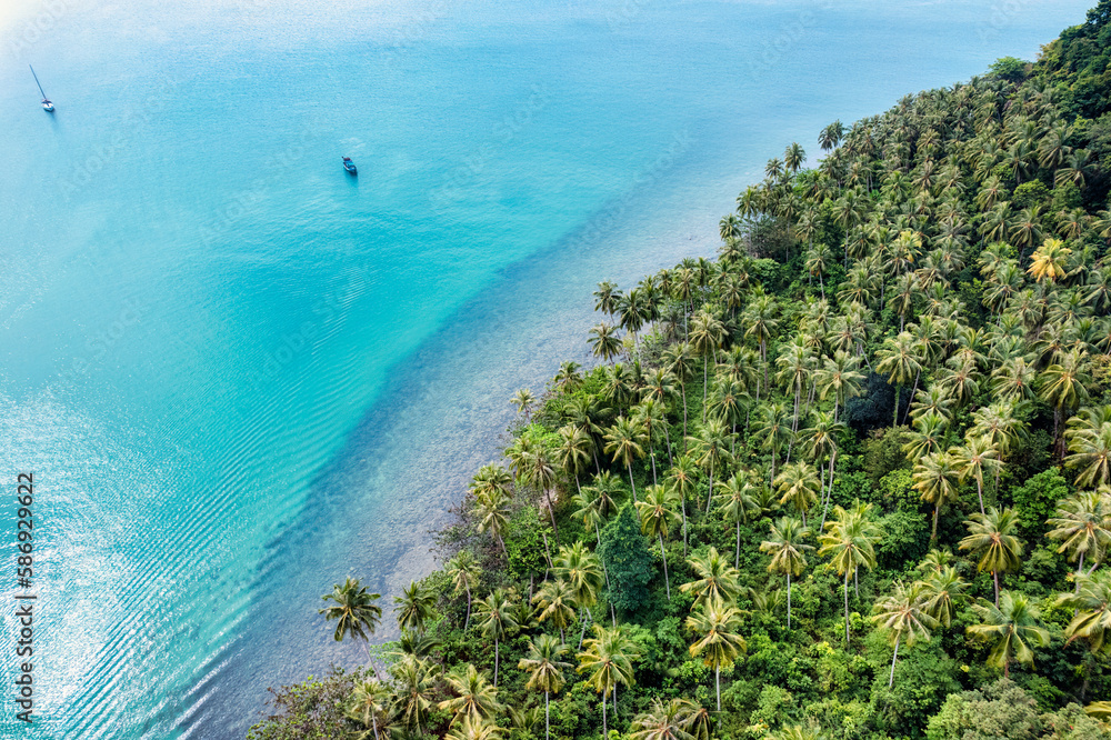 Beautiful tropical sea with palm tree forest in Koh Kood Island