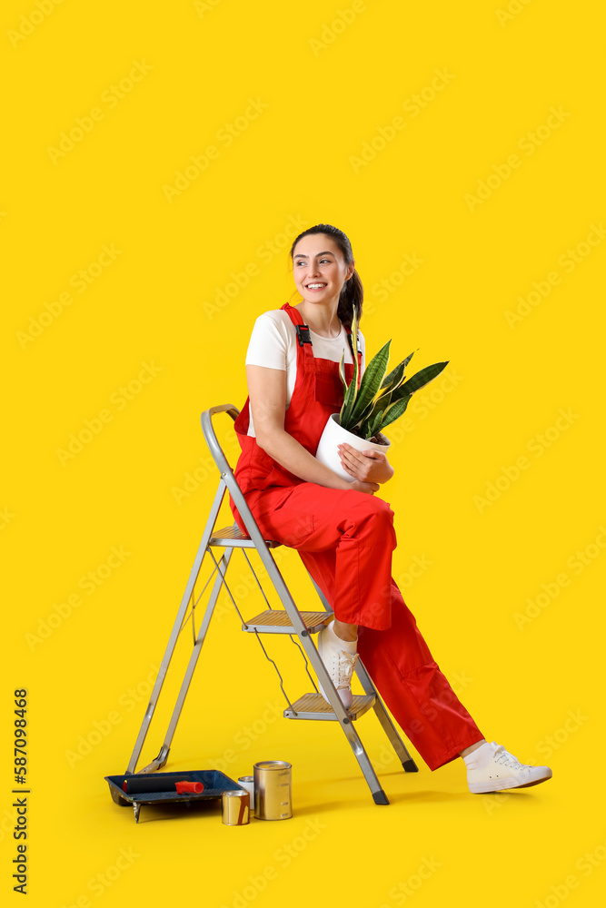 Young woman with houseplant, ladder and paint cans on yellow background