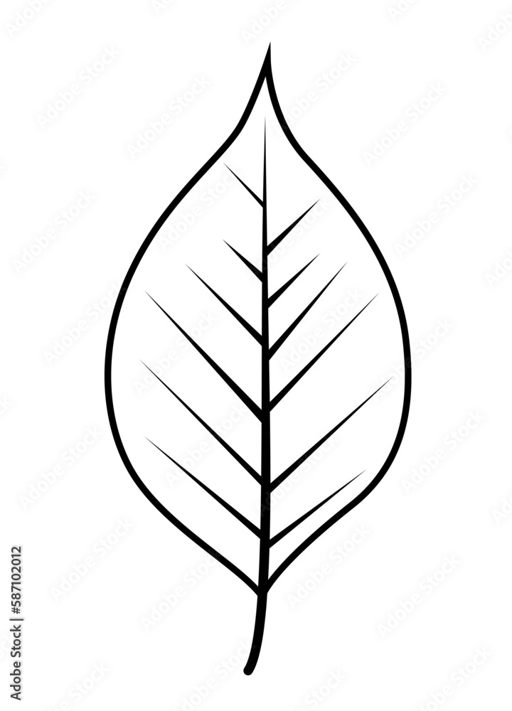 Simple Leaf Vector Illustration EPS10