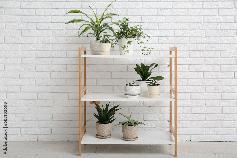 Shelving unit with green houseplants near white brick wall