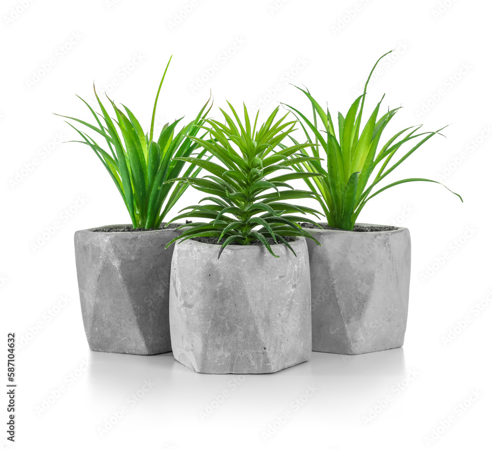 Artificial houseplants on white background