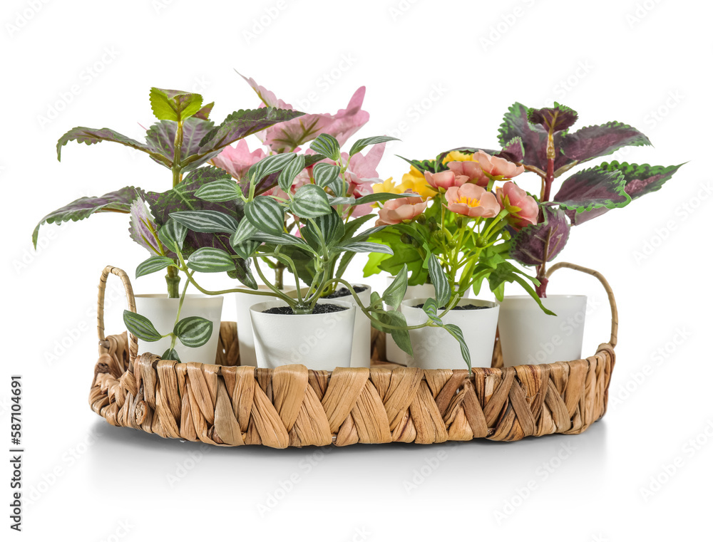 Tray with artificial plants on white background