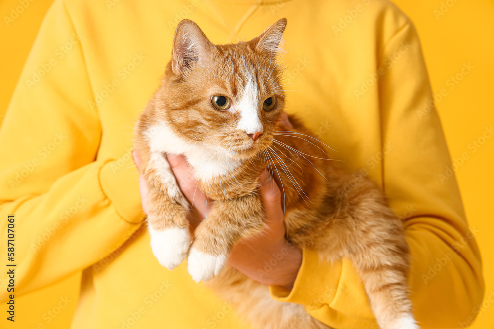 Man with funny red cat on yellow background