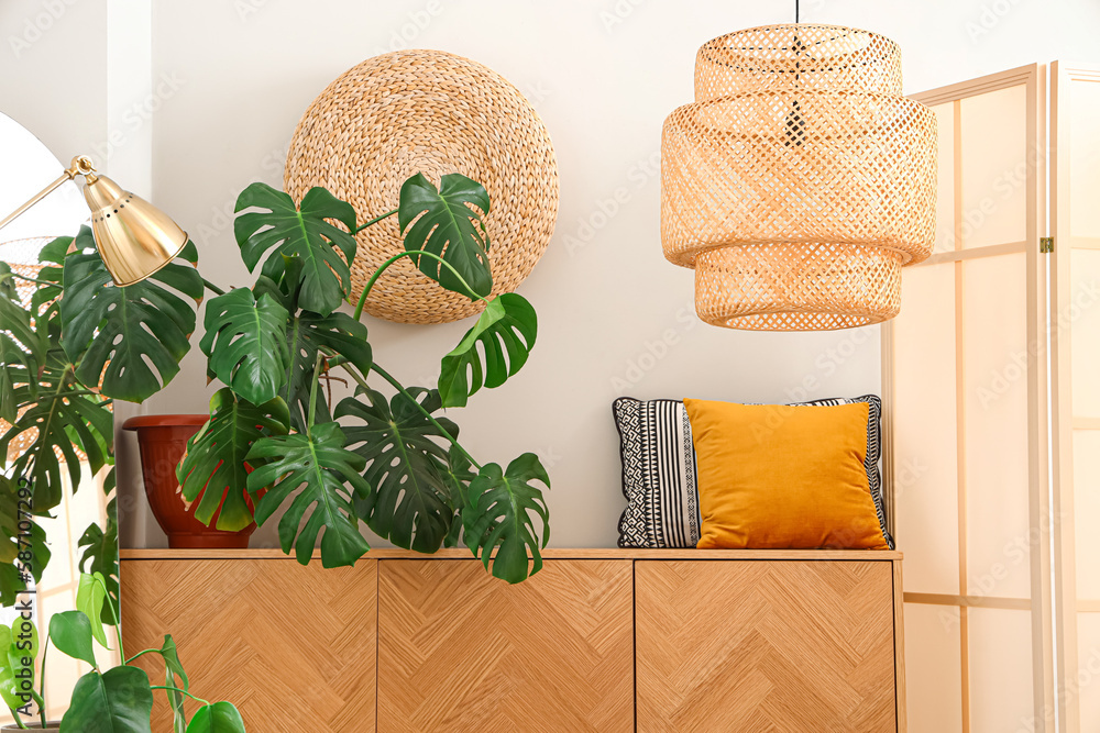 Interior of modern room in eco style with green monstera houseplant