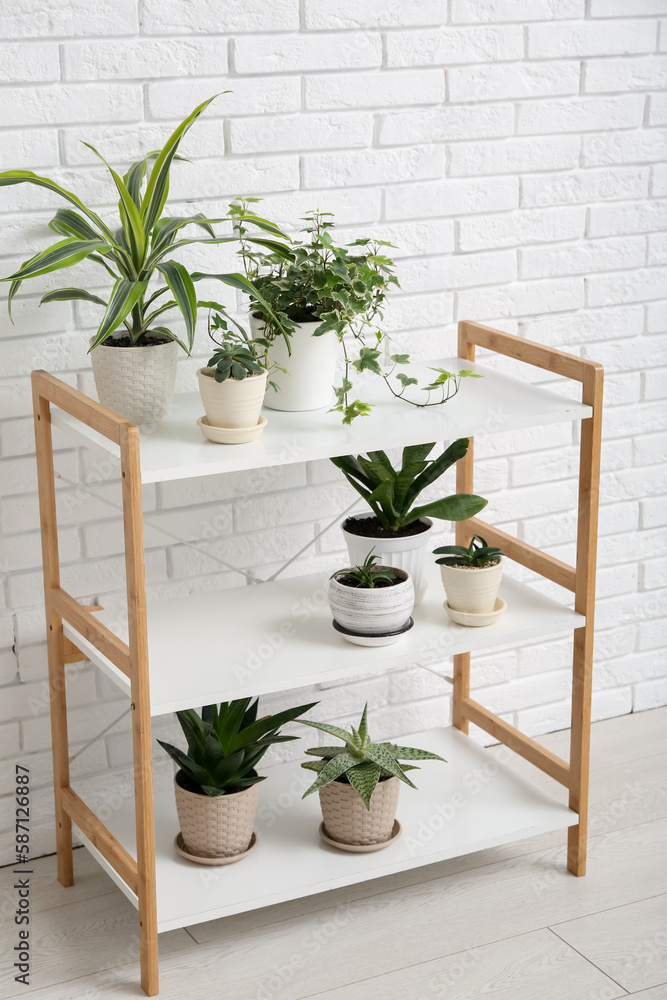 Shelving unit with green houseplants near white brick wall