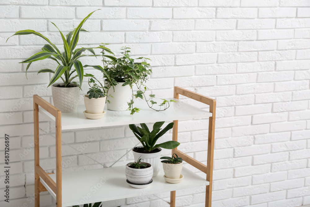 Shelving unit with green houseplants near white brick wall