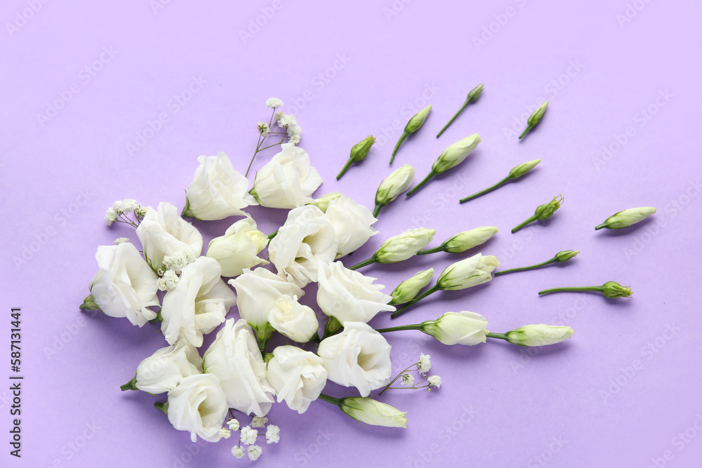 Beautiful composition with eustoma flowers on lilac background