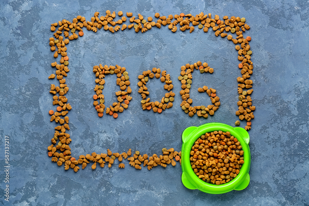 Composition with word DOG made of dry pet food on color background