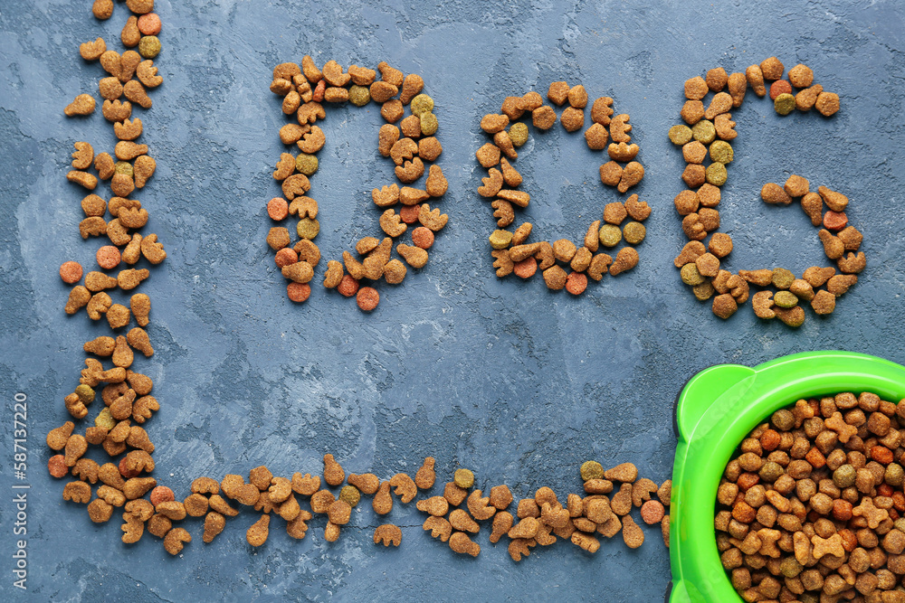 Composition with word DOG made of dry pet food on color background, closeup