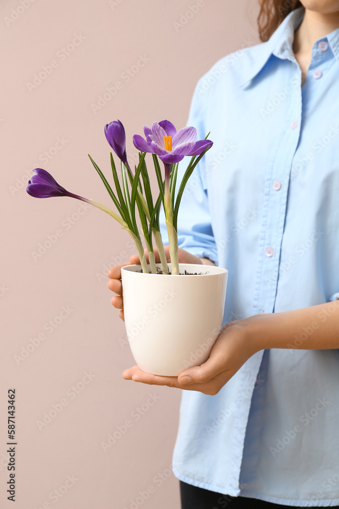 Woman holding pot with beautiful crocus flowers on beige background